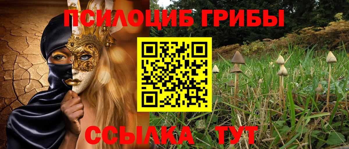 Клинцы  Галлюциногенные грибы мухоморы  Вход с VPN 
